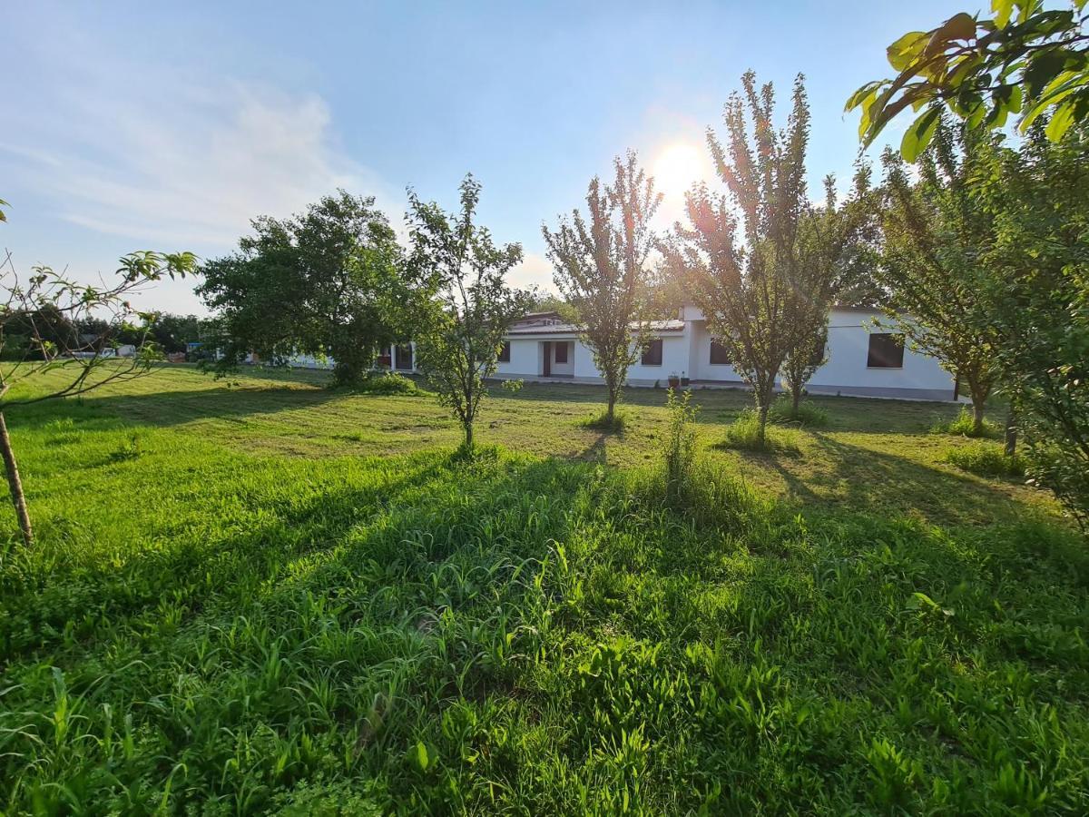 Agriturismo Ca Novak Venezia Villa Spinea Exterior foto